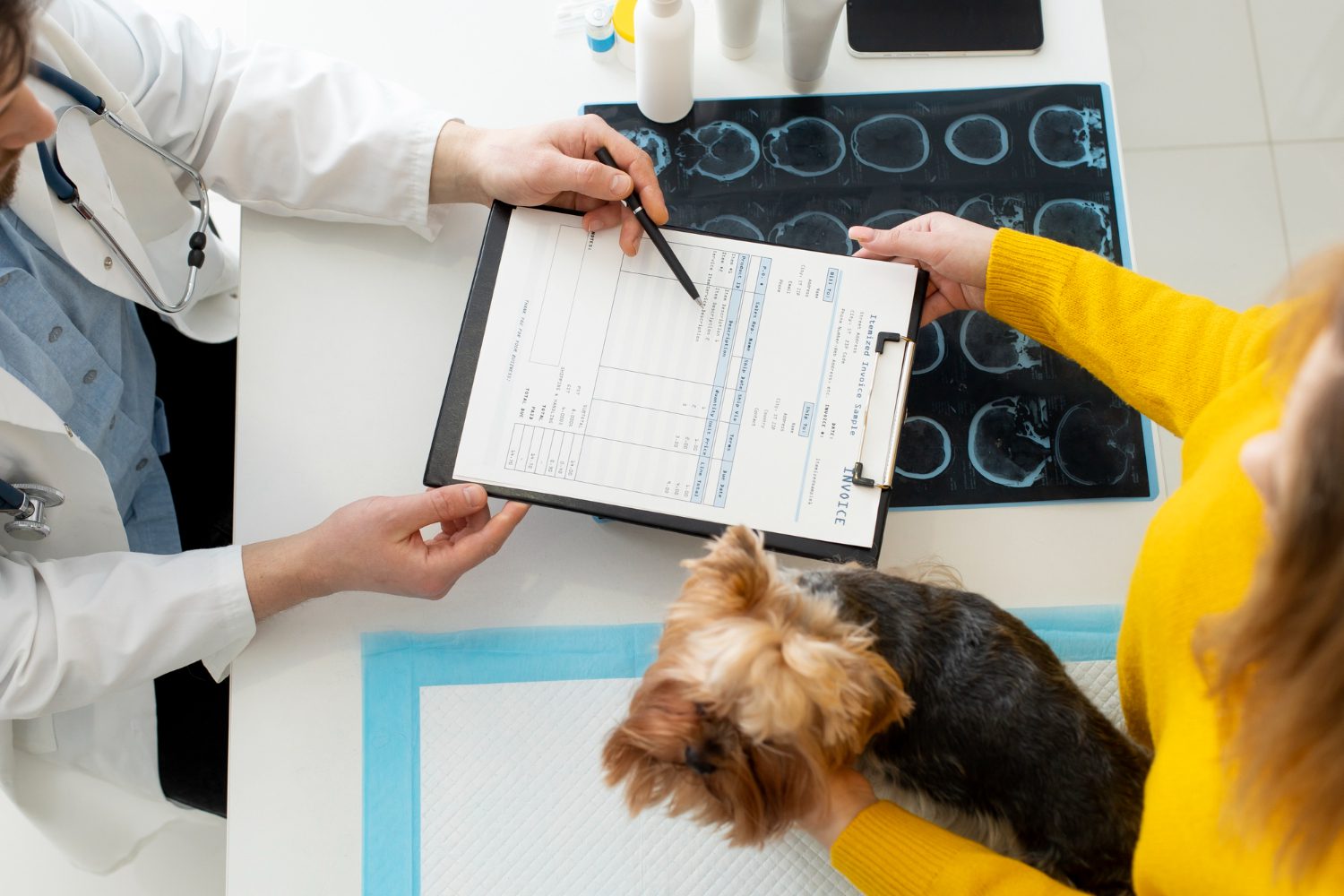 cute dog during a consultation